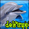 Аватар для delfinpp