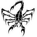   Scorpion