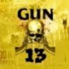   Gun-13
