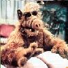   ALF