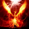   ***FENIX***