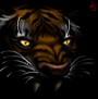   Shadow_Tiger