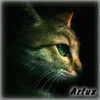 Аватар для Artus