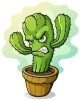   F.Cactus
